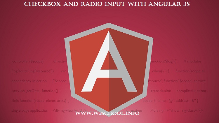 checkbox and radiobox usage in angular js form